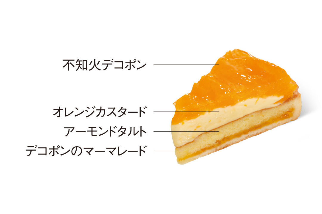 4月ケーキメニュー：不知火デコポンタルト　ケーキ詳細