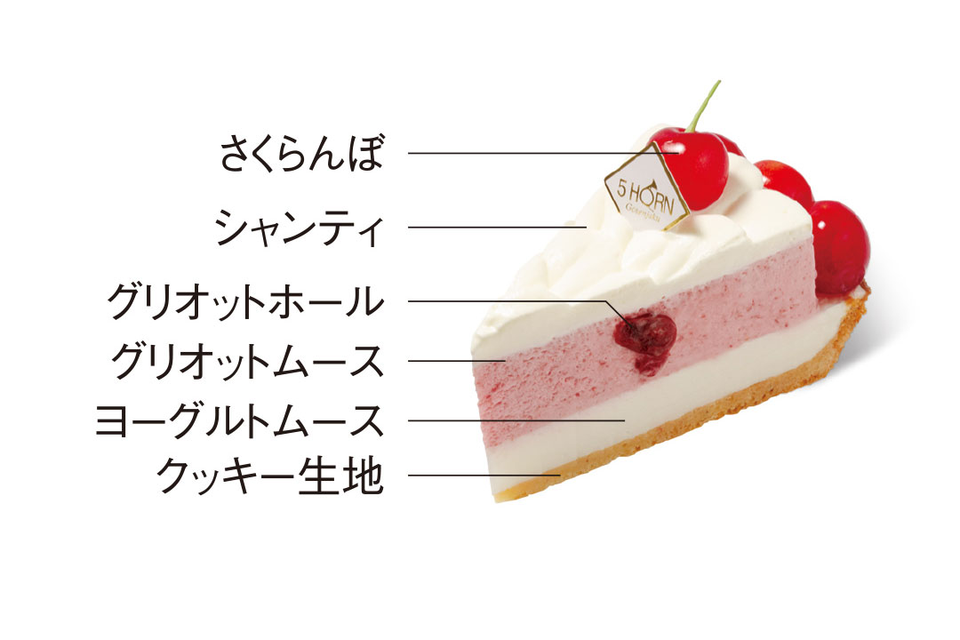 6月おすすめケーキ：さくらんぼタルト