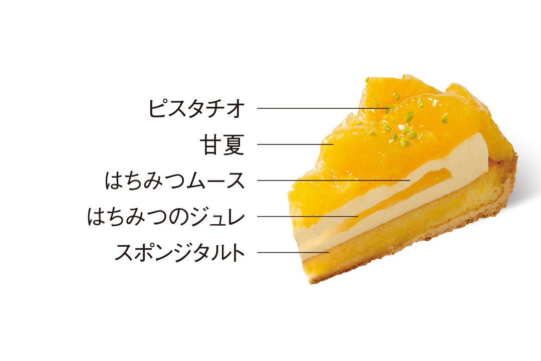 5月オススメケーキ：甘夏タルト詳細
