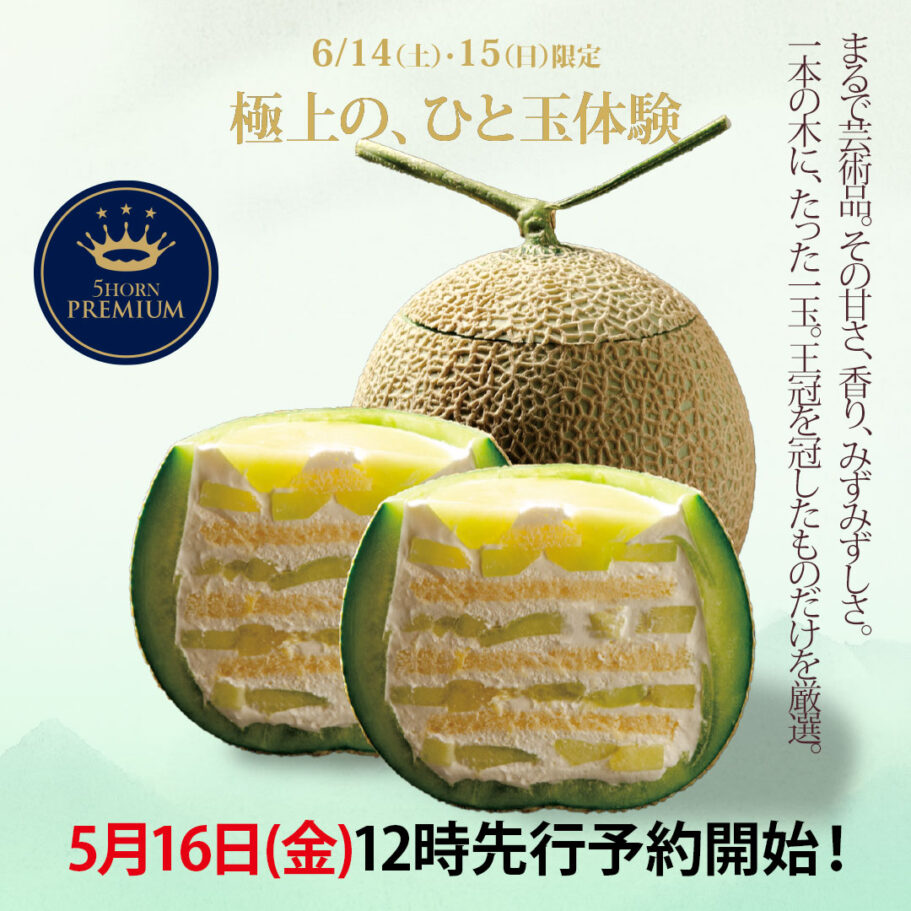 【数量限定】丸ごとメロンショートで極上の贅沢体験を