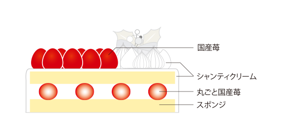 クリスマスショートケーキ|苺と生クリームが奏でる、永遠の定番 (2025・5HORN松本)断面図