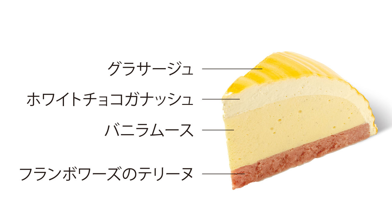 おすすめケーキ | ノエル