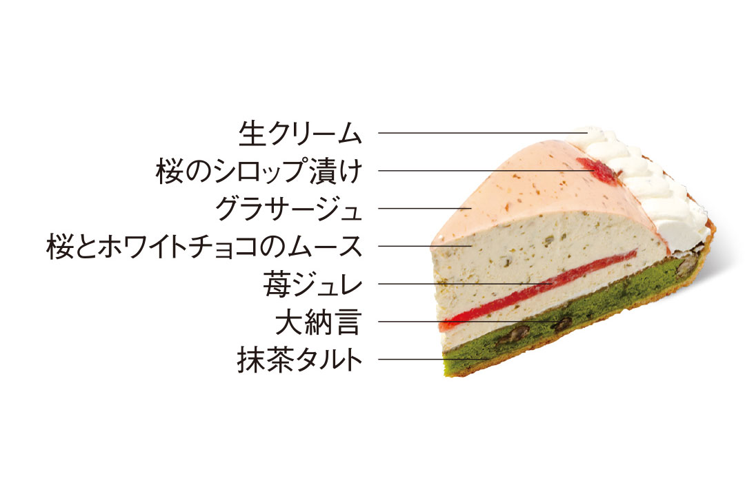 春限定|今だけの特別な一台|SAKURA