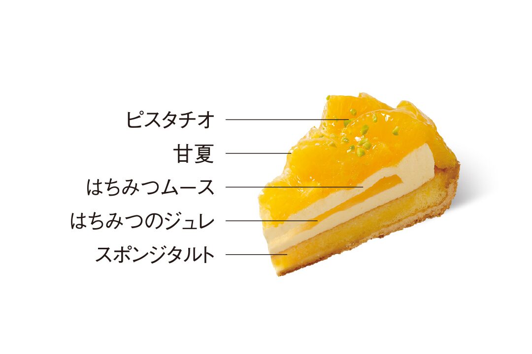 おすすめケーキ | 甘夏タルト