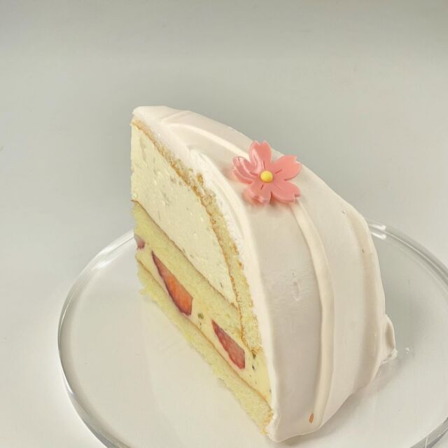 今年も春がやってきました🌸♡

こんにちは！長野県松本市のケーキ屋「5HORN」です👩🏻‍🍳
松本城でも桜の開花宣言がされ
春が訪れてきましたね！🌸

桜が咲く時期限定の特別なケーキのご紹介です🤍
「桜といちごのドーム」
やさしい甘みの桜ムースとフレッシュないちごは相性抜群です🌸🍓
見た目もかわいらしく、ホールケーキでの贈り物にもぴったりです🎂

販売期間：2025年3月20日(木)～4月14日(日）

存分に春を感じてみてください♪

Spring has come again this year🌸♡

Hello! We’re “5HORN,” a cake shop in Matsumoto City, Nagano Prefecture👩🏻‍🍳
With the cherry blossoms declared open at Matsumoto Castle, spring has finally arrived!

We’re excited to introduce a special limited-time cake available only during cherry blossom season🤍
“Sakura and Strawberry Dome”
The gentle sweetness of sakura mousse pairs perfectly with fresh strawberries🌸🍓
Its adorable appearance also makes it a wonderful gift as a whole cake🎂

Available: March 20 (Thu) – April 14 (Sun), 2025

Come and enjoy the feeling of spring to the fullest♪

#5HORN #松本市 #長野県 #ケーキ #スイーツ #ケーキ屋 #カフェ #タルト #春ケーキ #桜ケーキ #桜スイーツ #ご褒美スイーツ #美味しいもの #インスタグルメ #スイーツ巡り #カフェ巡り #松本グルメ #長野グルメ #松本城　#matsumotocastle