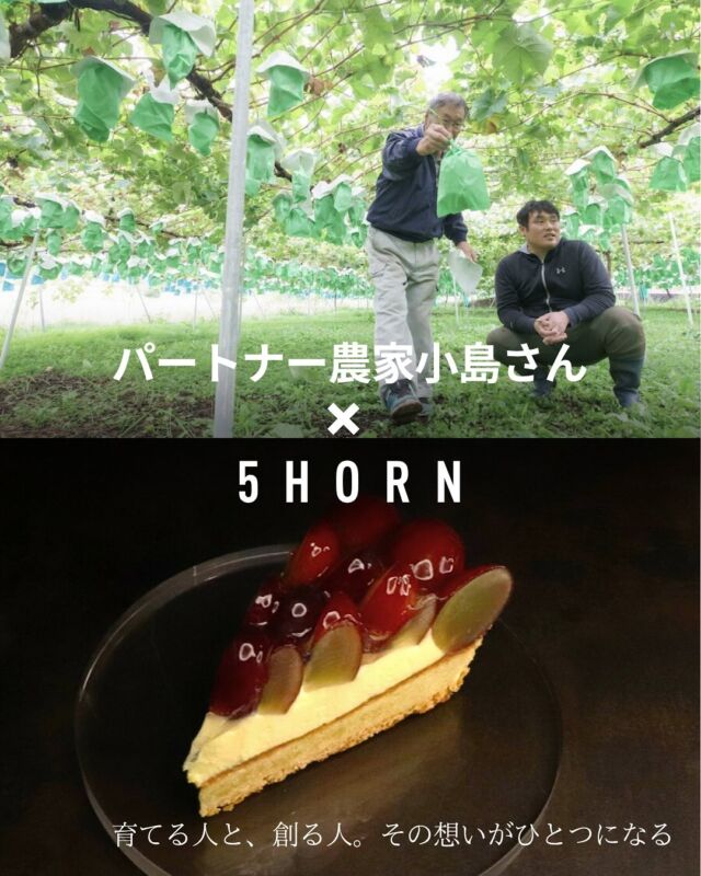 ── パートナー農家の手と、パティシエの手がつなぐ、秋の恵み。

5HORNのクイーンルージュを育ててくださっているのは、中野市のパートナー農家・小島さん。

日ごとに変わる気温や陽の光、
果実の張りや艶を確かめながら、
完熟の瞬間を見極めて収穫してくださっています。

クイーンルージュは、シャインマスカットとユニコーンを掛け合わせた
長野県生まれの高級品種。
皮ごと食べられるぶどうの中でもクイーンルージュの皮は薄く、糖度は約18〜20度とかなり高め。
華やかな香りと上品な甘み、
そして後味にほんのりと残る酸味が魅力です。

私たち5HORNでは、
小島さんが丁寧に育てたクイーンルージュを使い、
その魅力を最大限に引き出すケーキをお届けします。

小島さんの情熱が詰まったクイーンルージュと、
5HORNの技が重なり合うことで完成する、
秋だけの贅沢をぜひお楽しみください。

#5horn #ファイブホルン #クイーンルージュ #小島さんのぶどう #ぶどう三姉妹 
#松本スイーツ #長野スイーツ #秋スイーツ #秋の味覚
#信州の恵み #ご褒美スイーツ #生産者の想い #贅沢なひととき