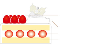ショートケーキ断面図