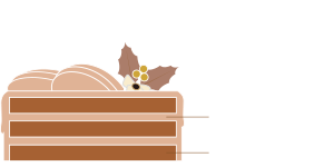 チョコレートケーキ断面図