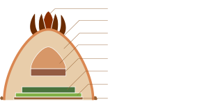 ブッシュドノエル断面図