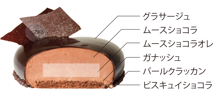 オニキス断面図