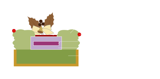 リースドノエル断面図