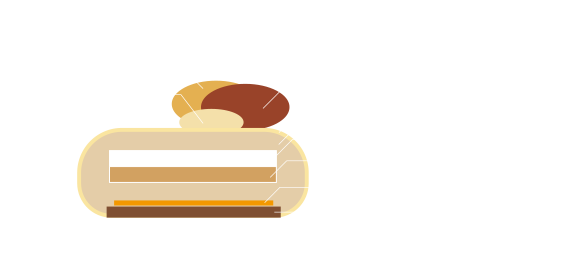 ルチア断面図