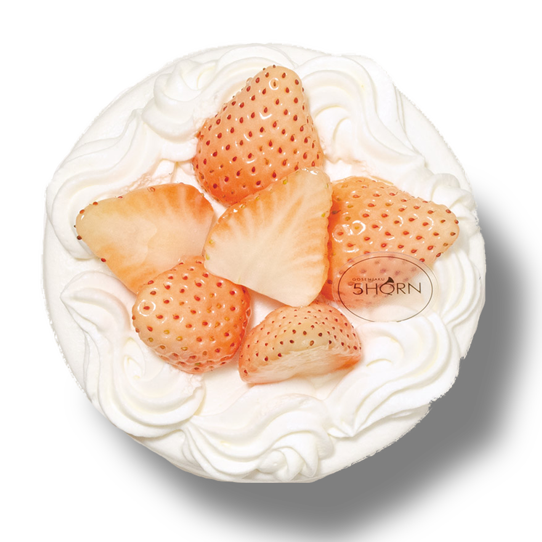 2026 Whiteday｜ミルキーホワイトベリー